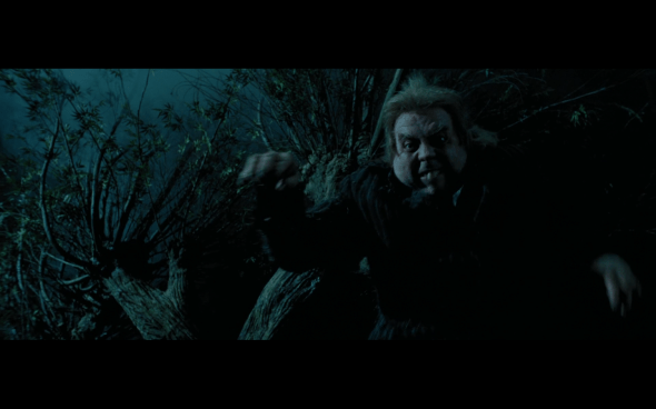 Harry Potter and the Prisoner of Azkaban - 1069