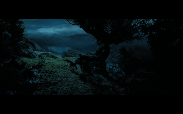 Harry Potter and the Prisoner of Azkaban - 1099