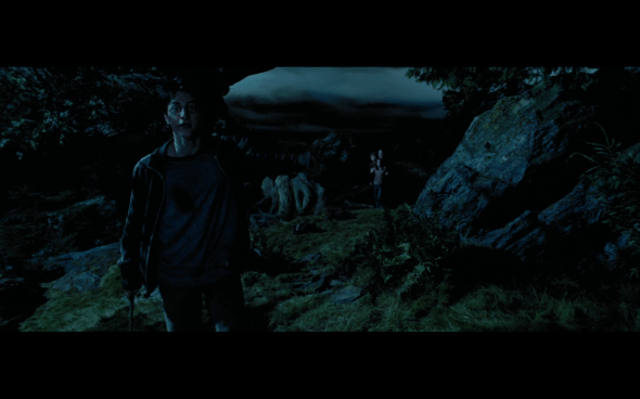 Harry Potter and the Prisoner of Azkaban - 1105