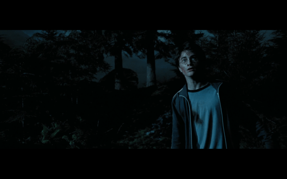 Harry Potter and the Prisoner of Azkaban - 1109