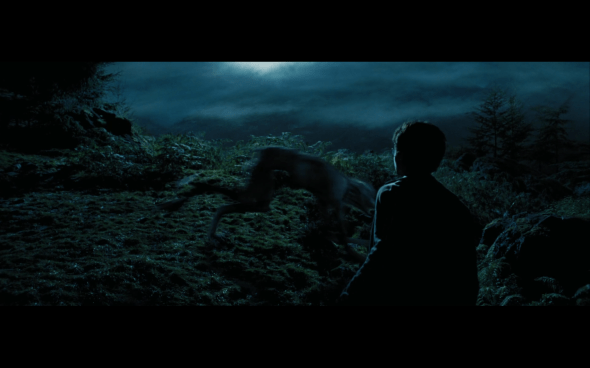 Harry Potter and the Prisoner of Azkaban - 1113