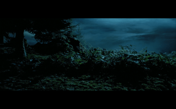 Harry Potter and the Prisoner of Azkaban - 1115