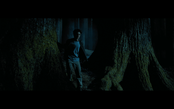 Harry Potter and the Prisoner of Azkaban - 1119