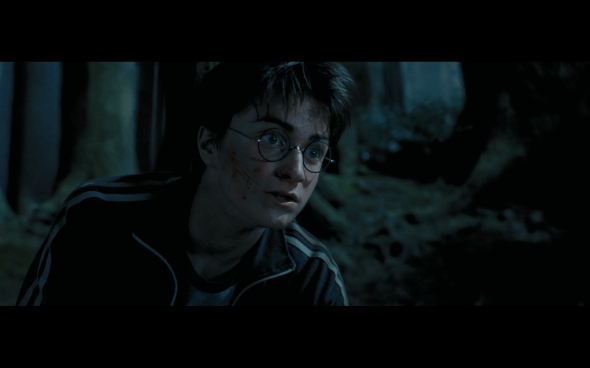 Harry Potter and the Prisoner of Azkaban - 1124
