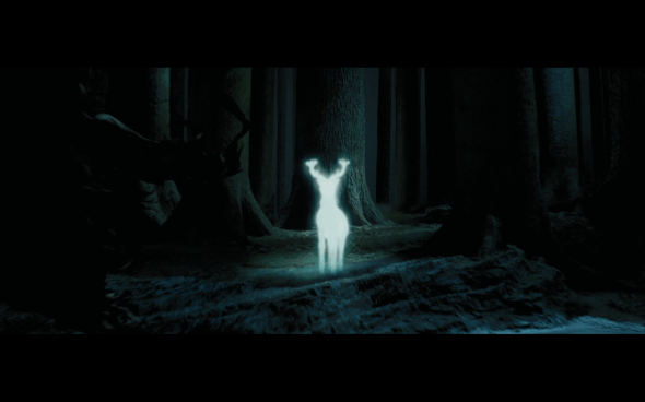 Harry Potter and the Prisoner of Azkaban - 1165