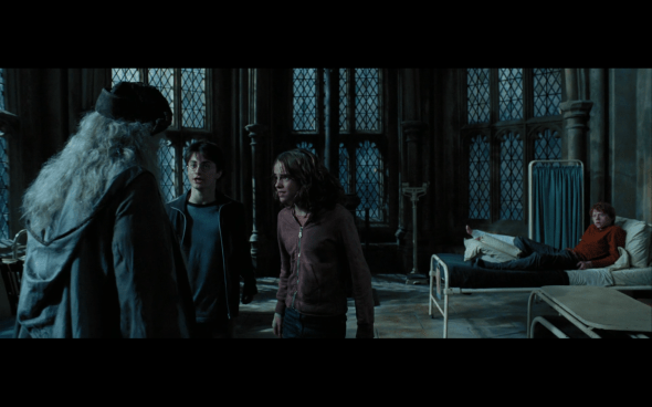 Harry Potter and the Prisoner of Azkaban - 1191