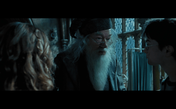 Harry Potter and the Prisoner of Azkaban - 1194