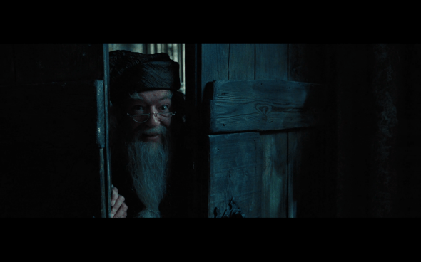 Harry Potter and the Prisoner of Azkaban - 1211