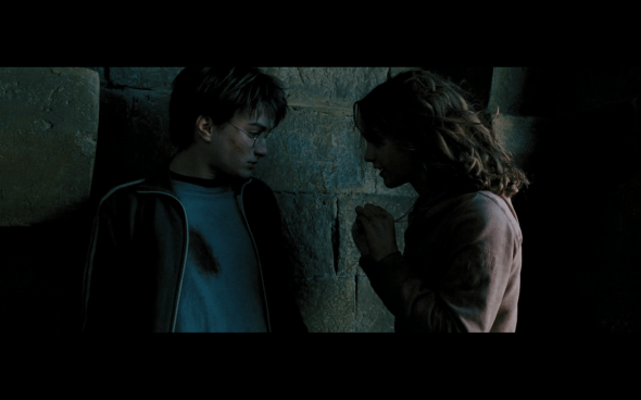 Harry Potter and the Prisoner of Azkaban - 1242