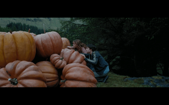 Harry Potter and the Prisoner of Azkaban - 1252