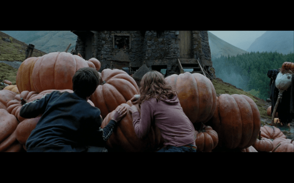 Harry Potter and the Prisoner of Azkaban - 1253