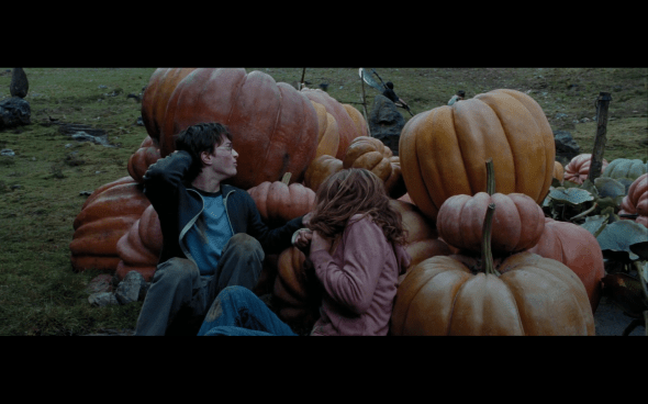 Harry Potter and the Prisoner of Azkaban - 1266