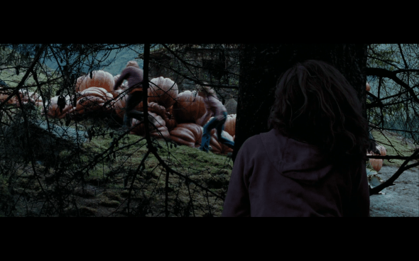 Harry Potter and the Prisoner of Azkaban - 1271