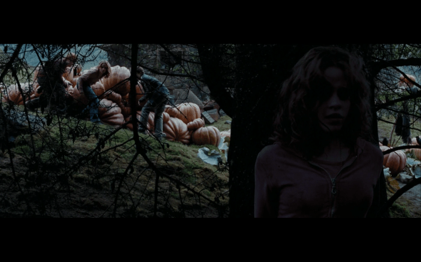 Harry Potter and the Prisoner of Azkaban - 1274