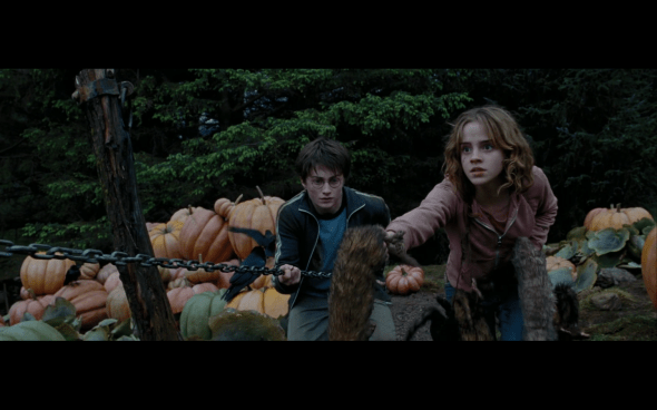 Harry Potter and the Prisoner of Azkaban - 1283