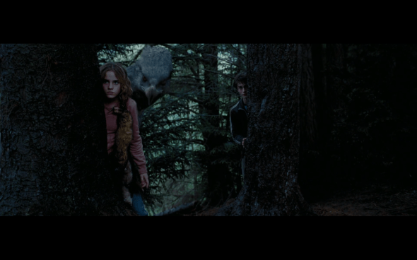 Harry Potter and the Prisoner of Azkaban - 1291