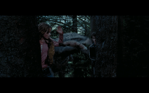 Harry Potter and the Prisoner of Azkaban - 1293