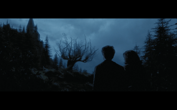 Harry Potter and the Prisoner of Azkaban - 1304