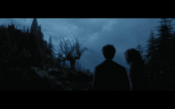 Harry Potter and the Prisoner of Azkaban - 1305