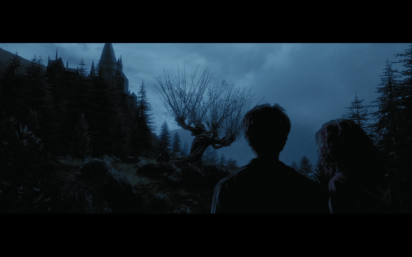 Harry Potter and the Prisoner of Azkaban - 1306