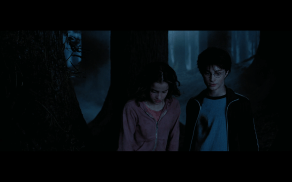 Harry Potter and the Prisoner of Azkaban - 1310