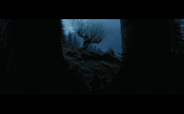 Harry Potter and the Prisoner of Azkaban - 1313