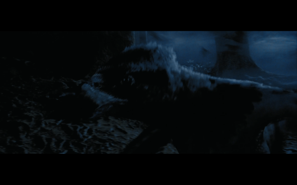 Harry Potter and the Prisoner of Azkaban - 1317