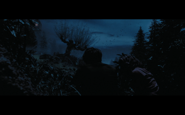 Harry Potter and the Prisoner of Azkaban - 1319