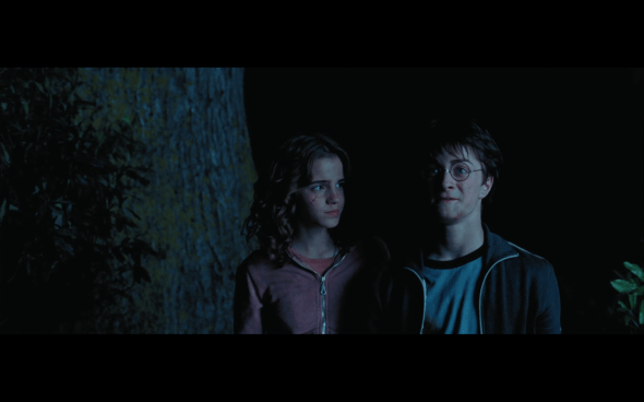 Harry Potter and the Prisoner of Azkaban - 1328