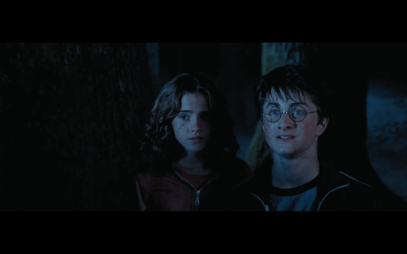 Harry Potter and the Prisoner of Azkaban - 1329