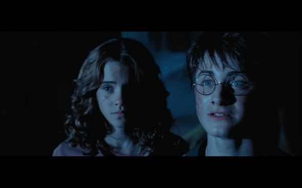 Harry Potter and the Prisoner of Azkaban - 1330