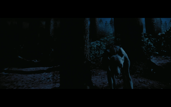 Harry Potter and the Prisoner of Azkaban - 1336