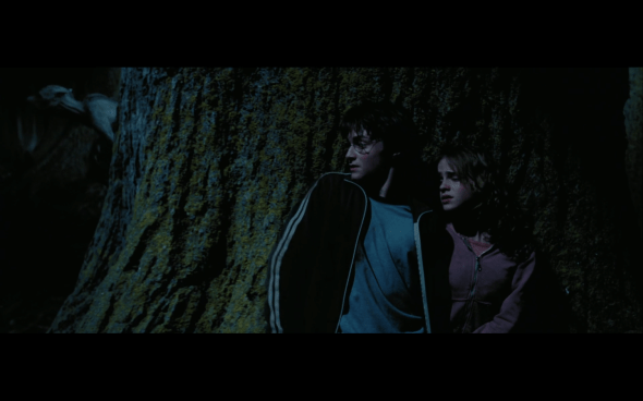 Harry Potter and the Prisoner of Azkaban - 1341