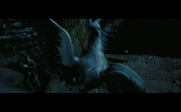 Harry Potter and the Prisoner of Azkaban - 1349