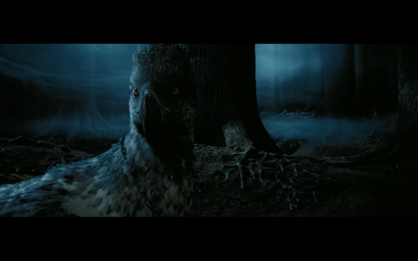 Harry Potter and the Prisoner of Azkaban - 1352