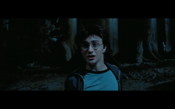 Harry Potter and the Prisoner of Azkaban - 1377