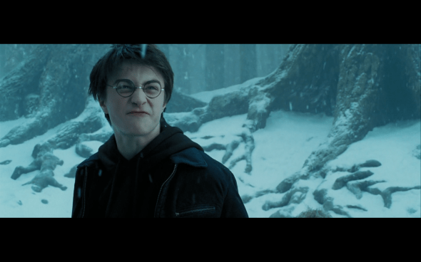 Harry Potter and the Prisoner of Azkaban - 685