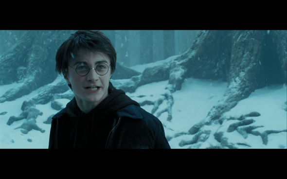 Harry Potter and the Prisoner of Azkaban - 686