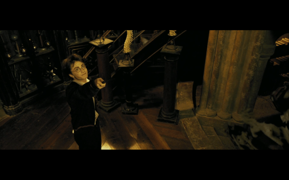 Harry Potter and the Prisoner of Azkaban - 704