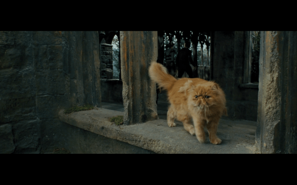 Harry Potter and the Prisoner of Azkaban - 733