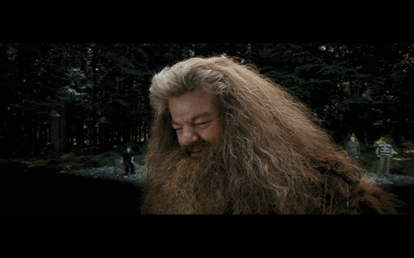 Harry Potter and the Prisoner of Azkaban - 736