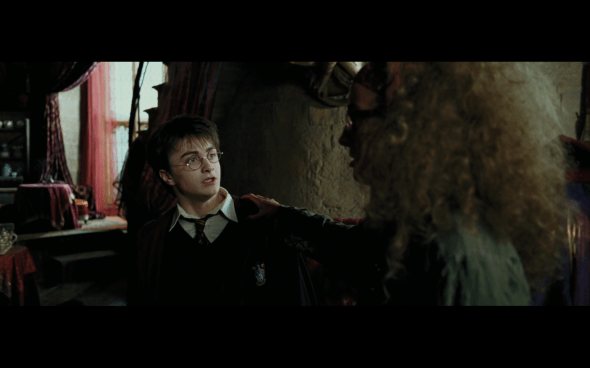 Harry Potter and the Prisoner of Azkaban - 819