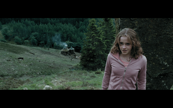 Harry Potter and the Prisoner of Azkaban - 849