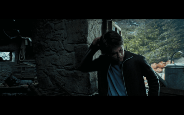 Harry Potter and the Prisoner of Azkaban - 865