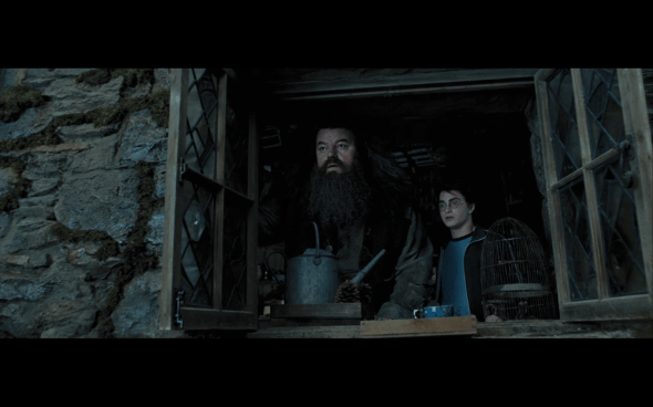 Harry Potter and the Prisoner of Azkaban - 867