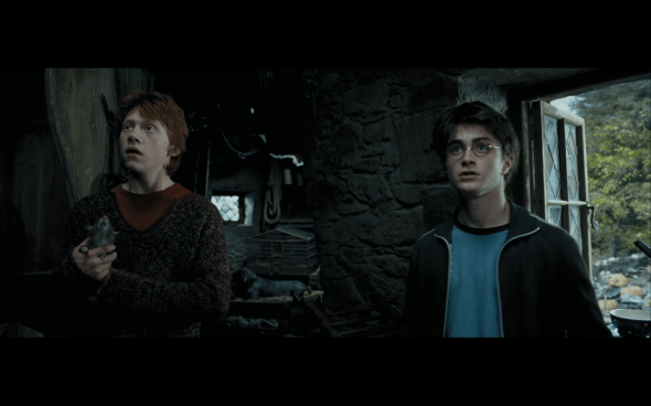 Harry Potter and the Prisoner of Azkaban - 869