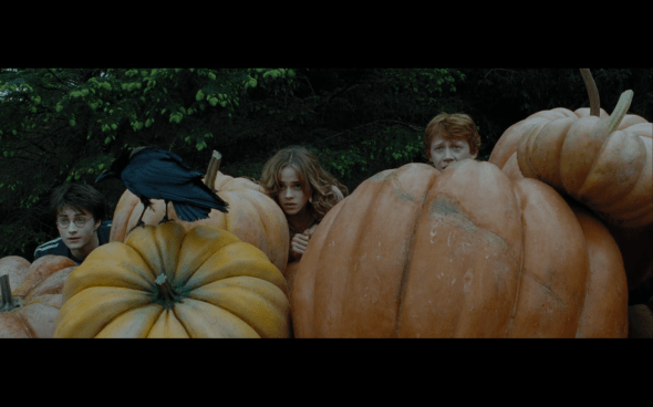 Harry Potter and the Prisoner of Azkaban - 880