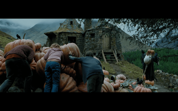 Harry Potter and the Prisoner of Azkaban - 881