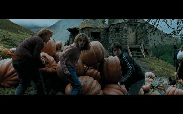 Harry Potter and the Prisoner of Azkaban - 884