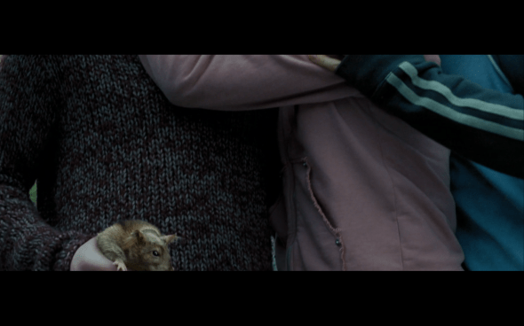 Harry Potter and the Prisoner of Azkaban - 900